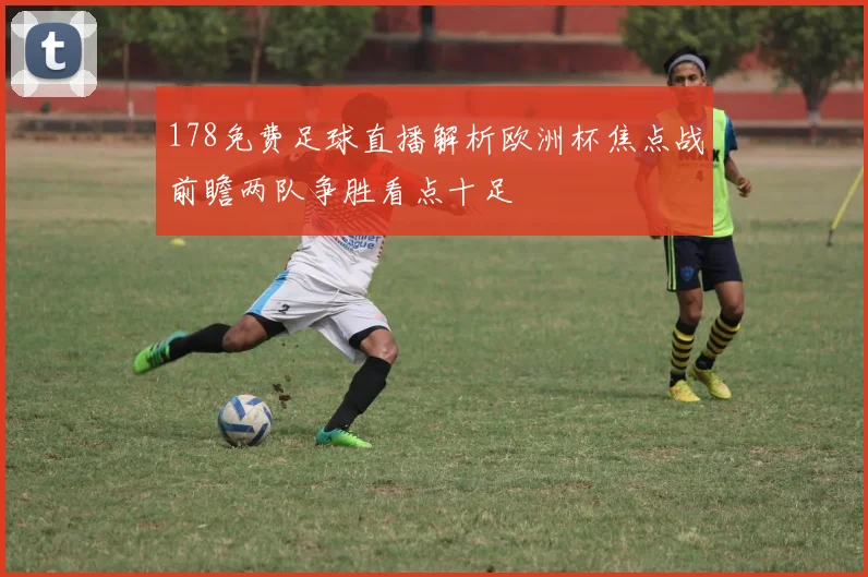 178免费足球直播解析欧洲杯焦点战前瞻两队争胜看点十足