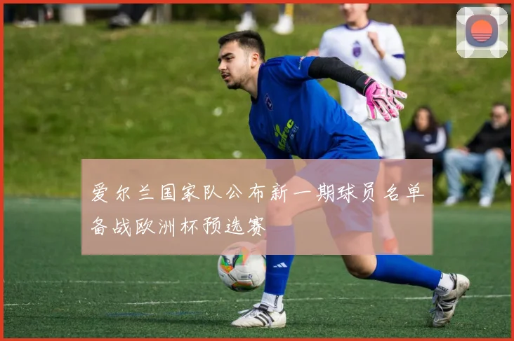 爱尔兰国家队公布新一期球员名单备战欧洲杯预选赛
