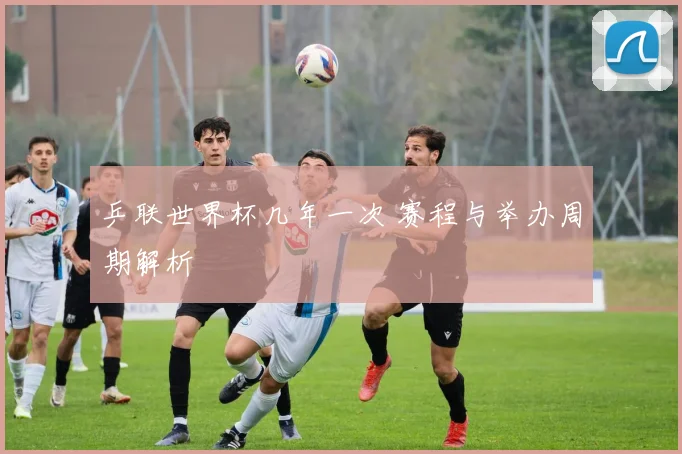 乒联世界杯几年一次 赛程与举办周期解析