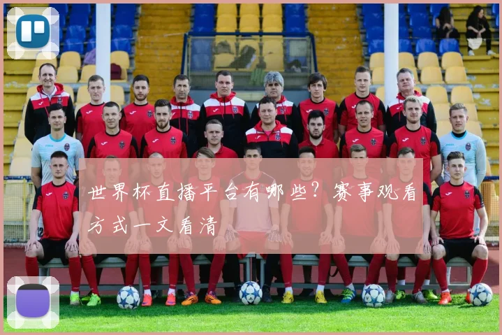 世界杯直播平台有哪些？赛事观看方式一文看清