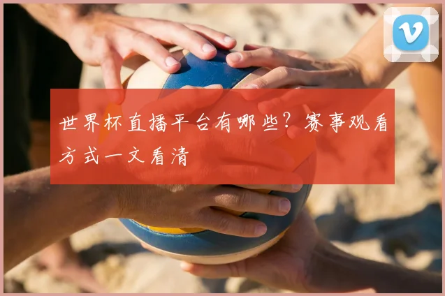 世界杯直播平台有哪些？赛事观看方式一文看清
